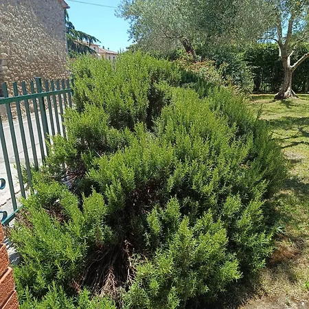 I Sogni Di Elias * Tuoro sul Trasimeno